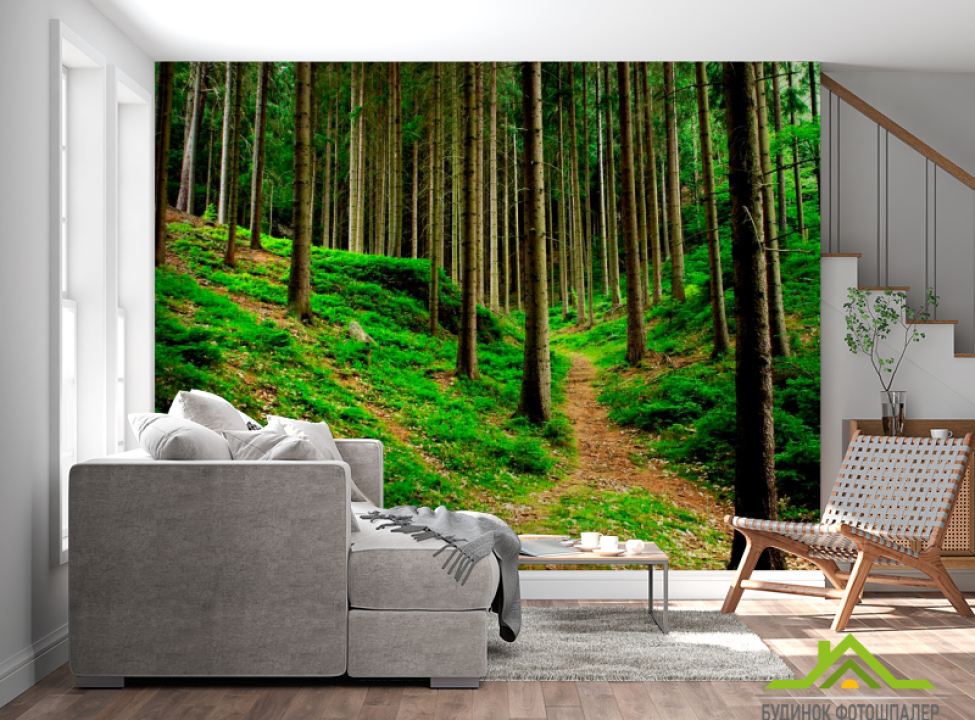 выбрать Фотошпалери Стежки, ялинки Каталог фотошпалер на стіну