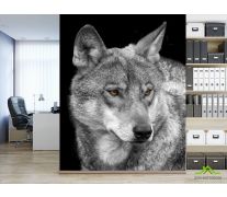 Фотообои белый волк