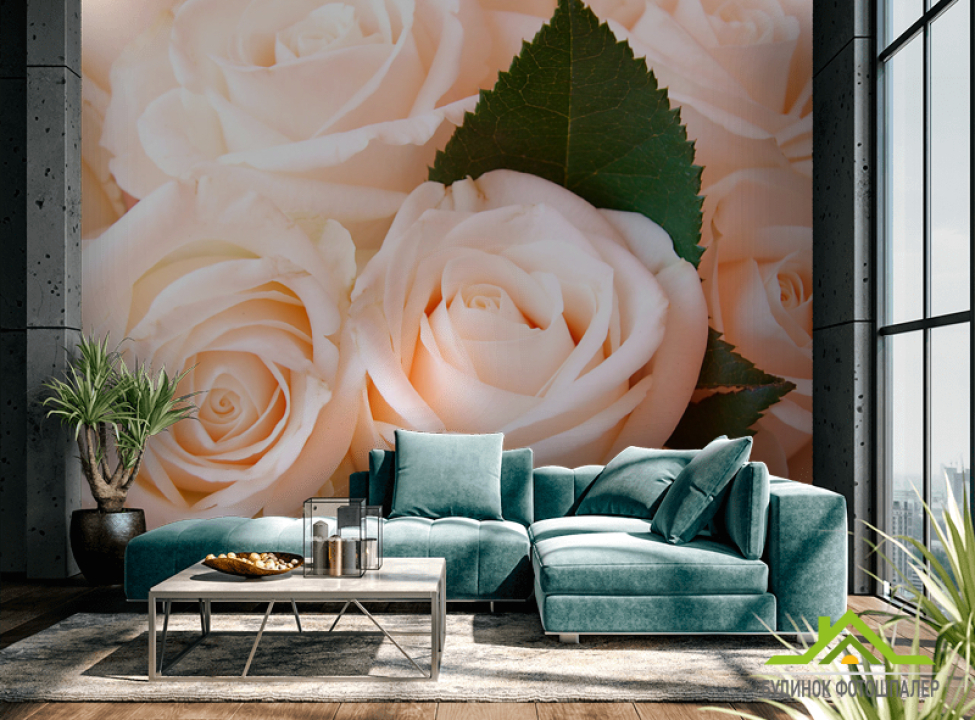 выбрать Фотошпалери Троянди Каталог фотошпалер на стіну