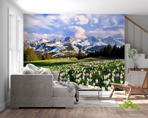 выбрать Фотообои Первоцвет весенний Фотообои Природа на стену