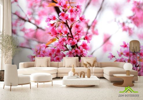 выбрать Фотообои Цветущее розовое дерево Фотообои Фотообои Цветы: горизонталная, горизонтальная, фото ориентация на стену