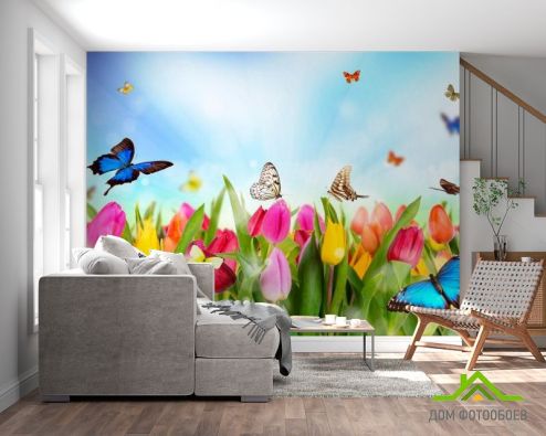 выбрать Фотошпалери Тюльпани, поле, метелики Блакитні фотошпалери на стіну