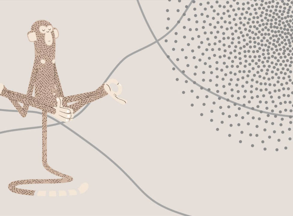 выбрать Фотообои обезьянка Каталог фотообоев на стену