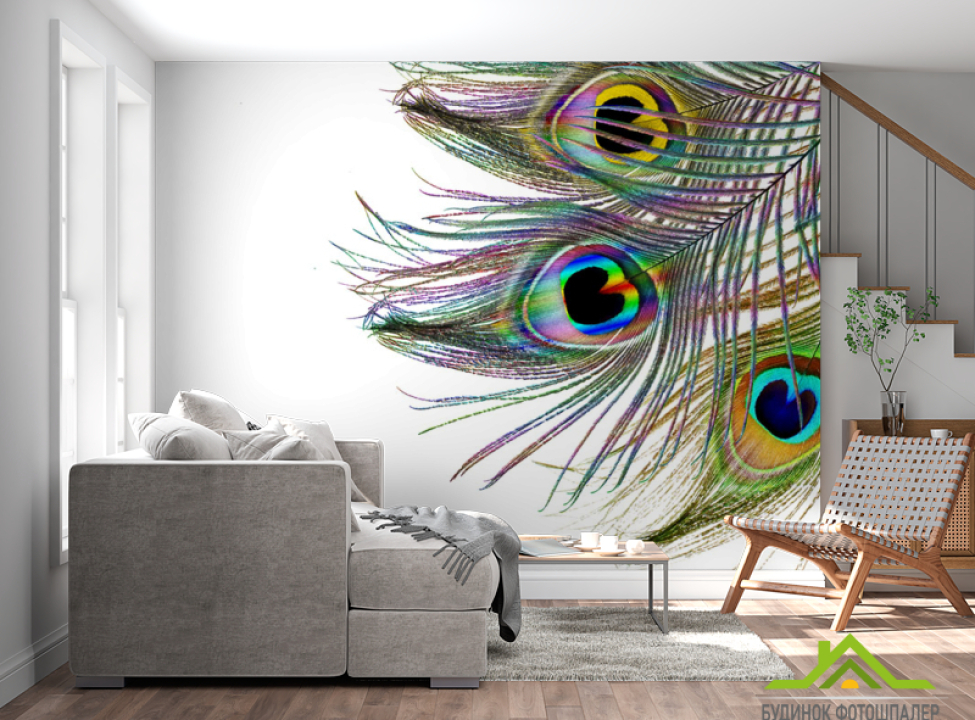 выбрать Фотообои Перья павлина Каталог фотообоев на стену