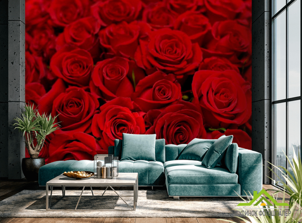 выбрать Фотообои Букет алых роз Каталог фотообоев на стену