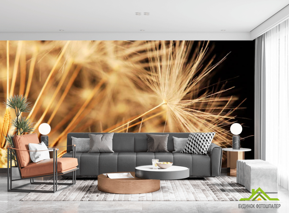 выбрать Фотошпалери Макро кульбаби Фотошпалери Кульбаби на стіну