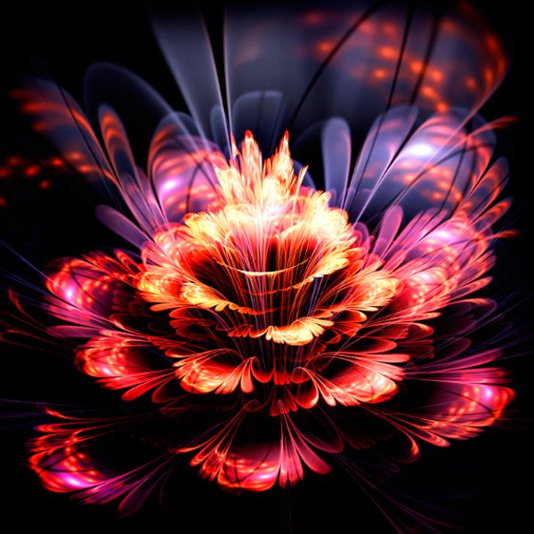 Фотошпалери Абстракционный квітка