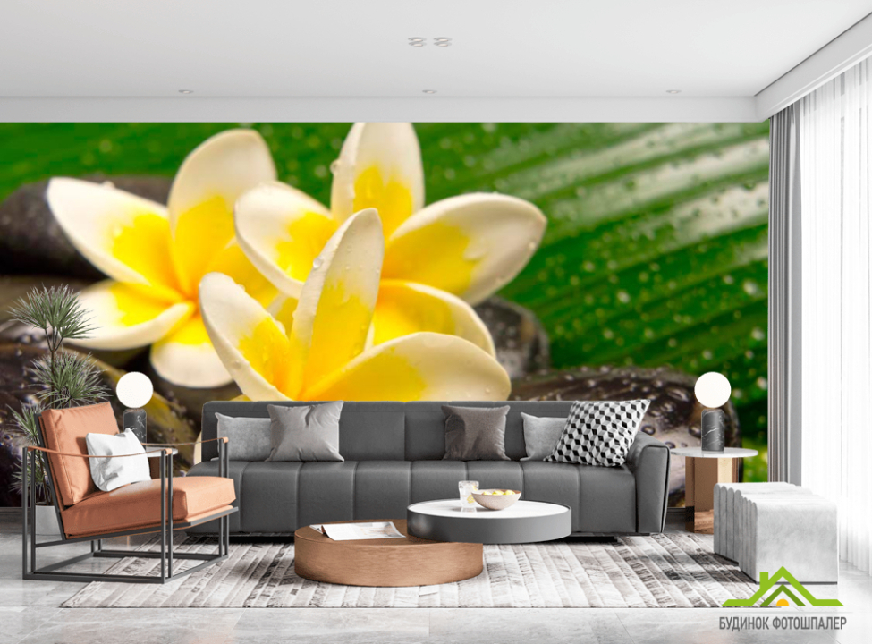 выбрать Фотообои Цветы, камни, роса Каталог фотообоев на стену