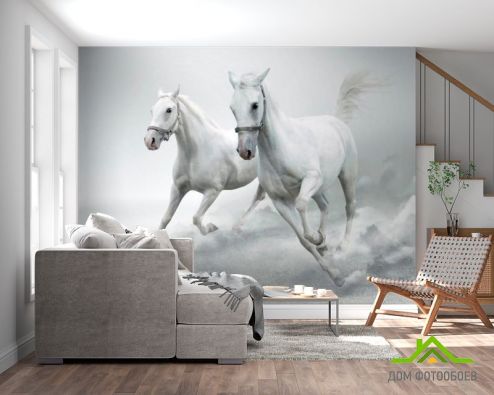 выбрать Фотообои Две белых лошади Фотообои Фотообои Животные: Лошади, рисунок на стену