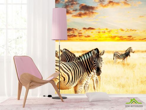 выбрать Фотообои Стадо зебр Фотообои Животные на стену