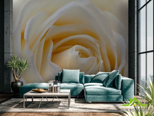 выбрать Фотообои Бледно-бежевая роза Фотообои Цветы на стену