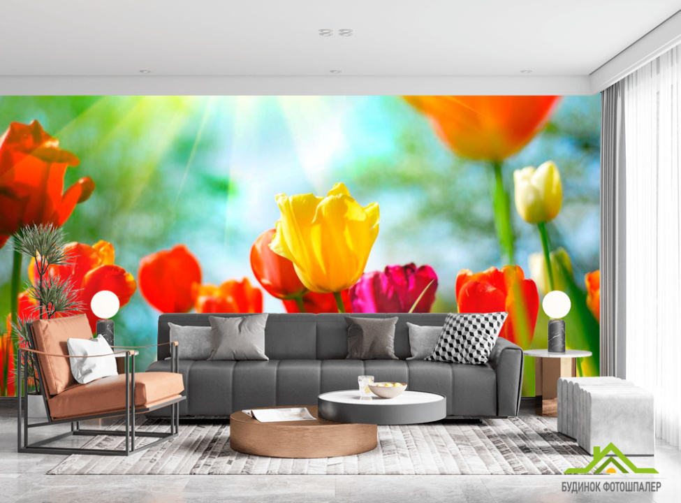 выбрать Фотообои Тюльпаны разноцветные Каталог фотообоев на стену