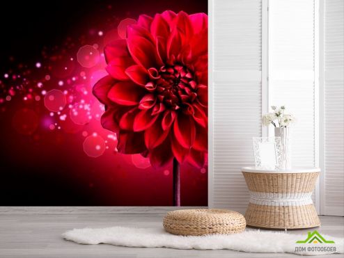 выбрать Фотообои Бардовый пион Фотообои Цветы на стену