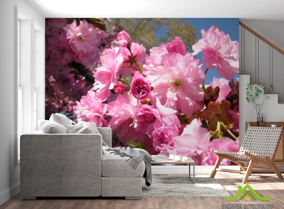 выбрать Фотообои розовое цветение Каталог фотообоев на стену