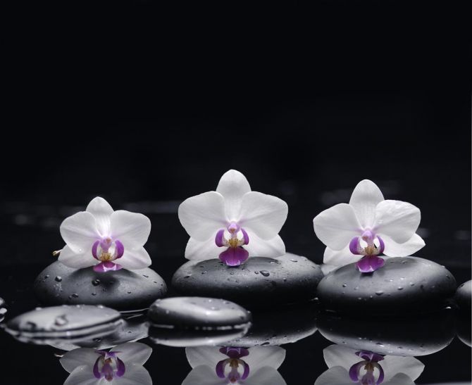 Фотошпалери білі орхідеї на чорному тлі