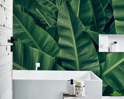 выбрать Фотообои Зелёные банановые листья Фотообои в ванную на стену