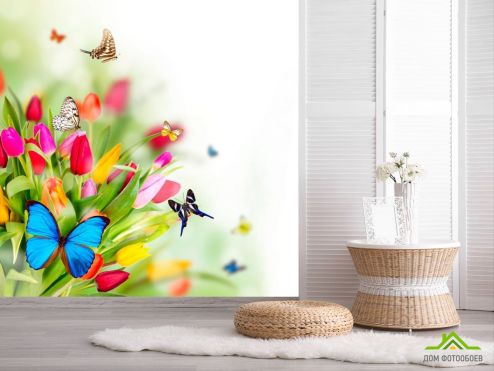 выбрать Фотошпалери Тюльпани і метелики Фотошпалери Фотошпалери Тюльпани: фото, різнобарвний  на стіну