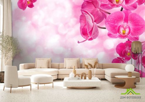 выбрать Фотообои Орхидеи розовые и вода Фотообои Фотообои Цветы: розовый на стену