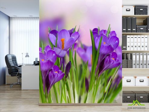выбрать Фотошпалери фіолетові квіти в траві Фотошпалери Фотошпалери Квіти: вертикальна орієнтація на стіну