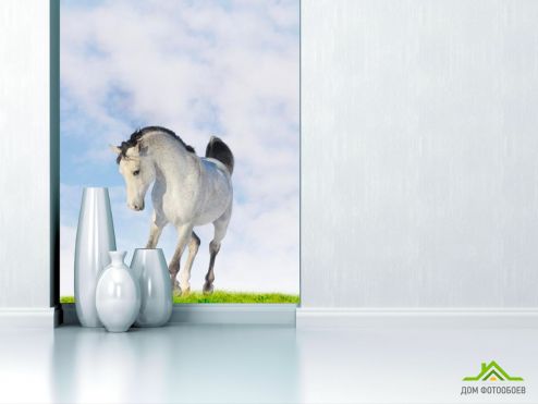 выбрать Фотообои Белый конь Фотообои, цвет: «Лошади» на стену