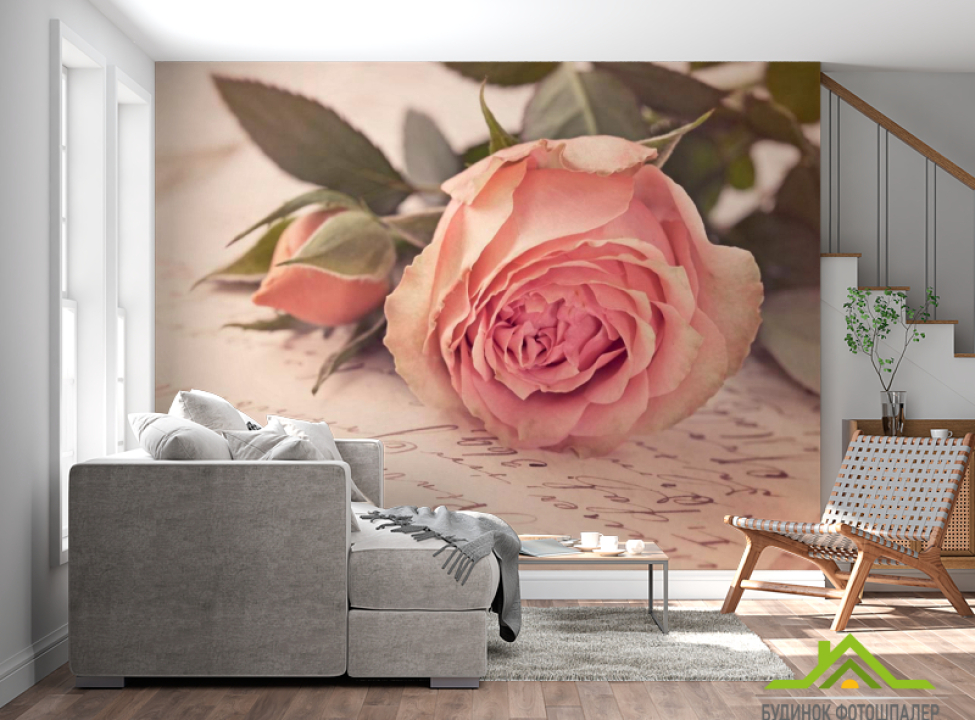 выбрать Фотообои Розы кремовые, бумага Каталог фотообоев на стену
