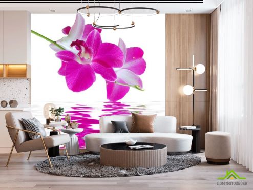 выбрать Фотообои Орхидеи цвета фусии Фотообои Фотообои Цветы: фото, розовый  на стену