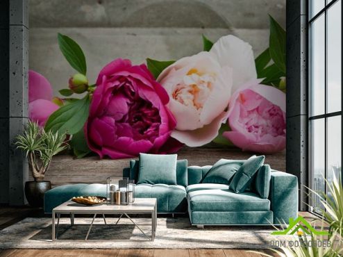 выбрать Фотообои розовые пионы  на стену