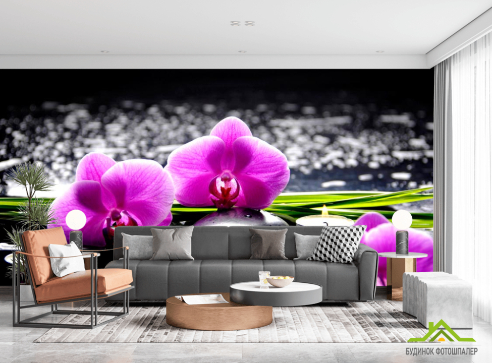 выбрать Фотообои Орхидеи на камнях Каталог фотообоев на стену