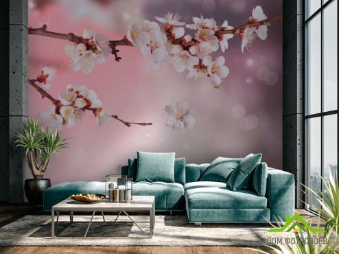 выбрать Фотошпалери Польова вишня цвіте  на стіну