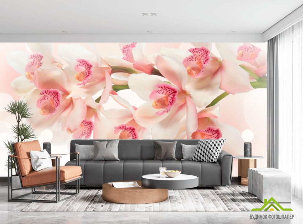 выбрать Фотошпалери Квіти Каталог фотошпалер на стіну