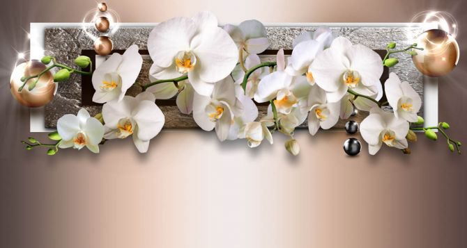 Фотошпалери 3д гілка орхідей