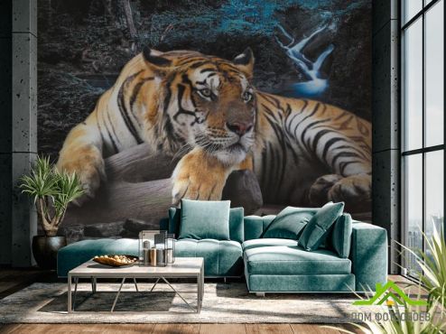 выбрать Фотообои Тигр  на стену