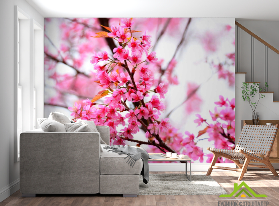 выбрать Фотошпалери Квітуче рожеве дерево Каталог фотошпалер на стіну