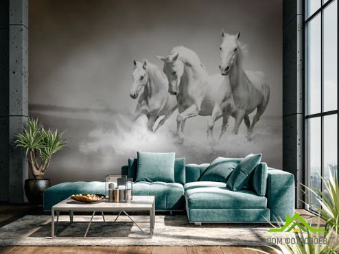 выбрать Фотошпалери Білі коні Фотошпалери Фотошпалери Тварини: Коні, квадратна, горизонтальна на стіну