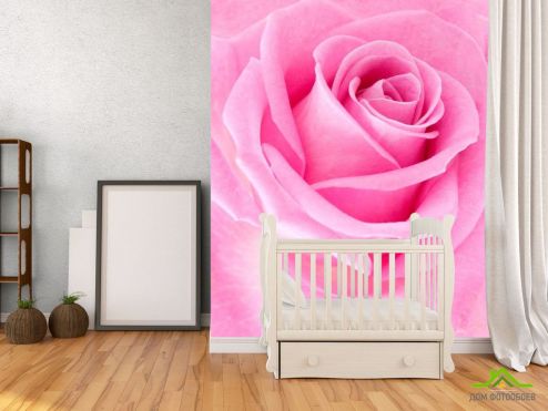 выбрать Фотообои Макро-съемка розовой розы Фотообои Фотообои Розы: вертикальная ориентация на стену