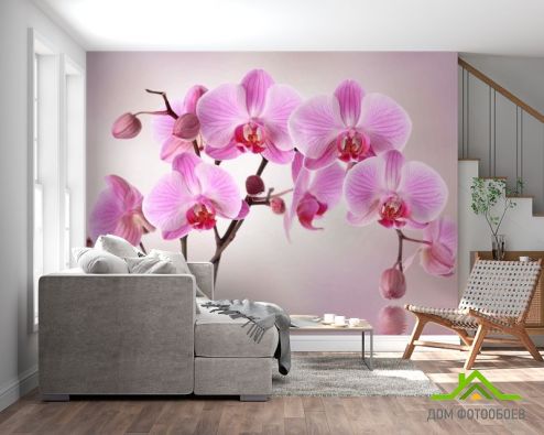 выбрать Фотообои сиреневые орхидеи из воды Фотообои Орхидеи на стену