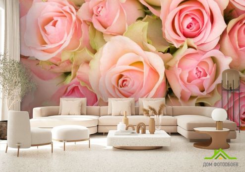 выбрать Фотообои roses Фотообои Цветы на стену