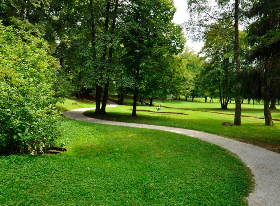 выбрать Фотообои Парк, тропинка Каталог фотообоев на стену