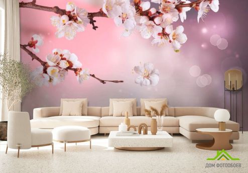 выбрать Фотообои Полевая вишня цветет Фотообои Вишня на стену