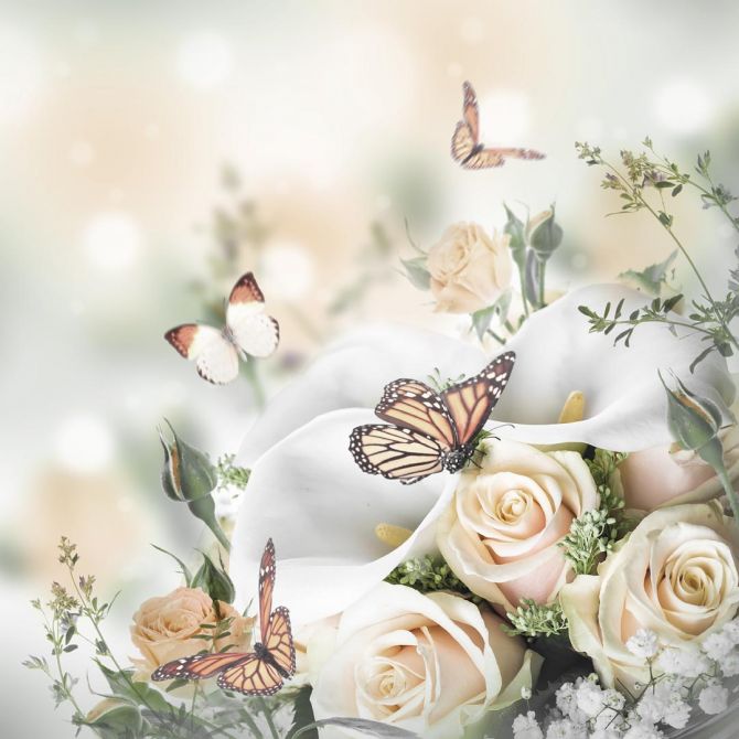 Фотообои Бабочки над розами