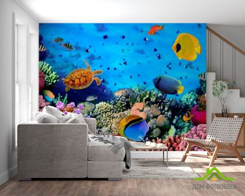 выбрать Фотошпалери Черепахи і риф Фотошпалери, колір: «різнобарвний, квадратна, горизонтальна» на стіну