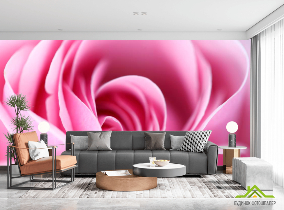 выбрать Фотообои Розовая бледная роза Фотообои Розы на стену