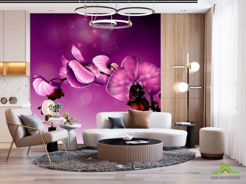 выбрать Фотообои Орхидеи фиолетовые Фотообои Фотообои Орхидеи: квадратная ориентация на стену