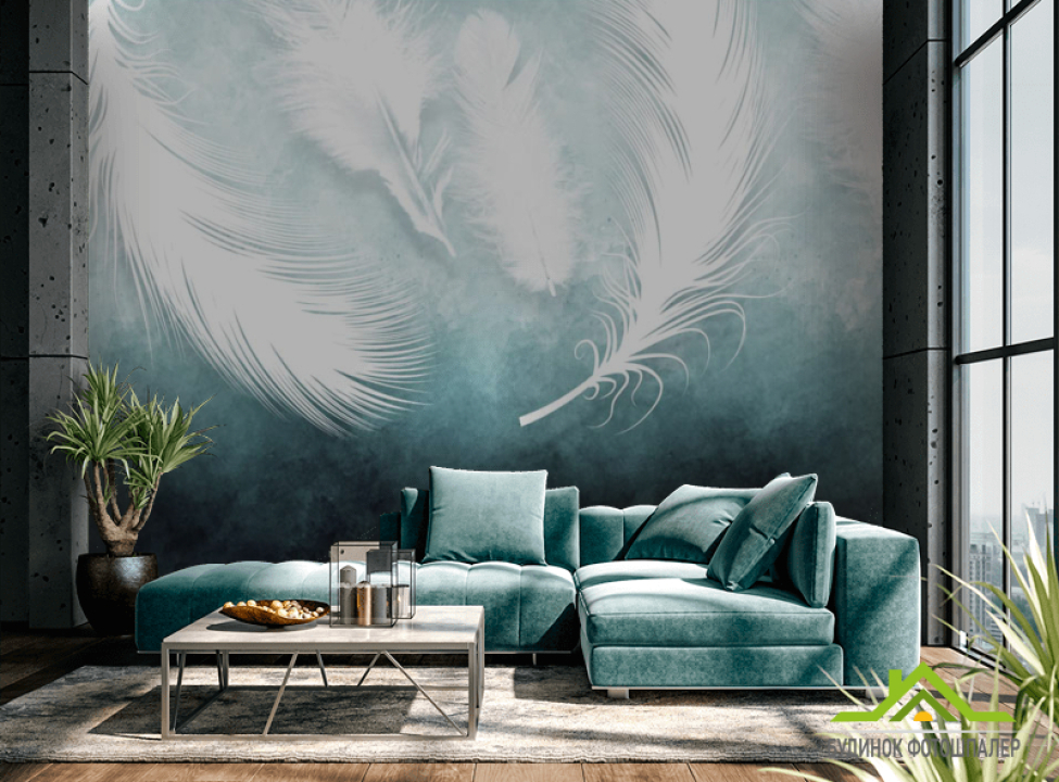 выбрать Фотообои Белые перья с потолка Каталог фотообоев на стену