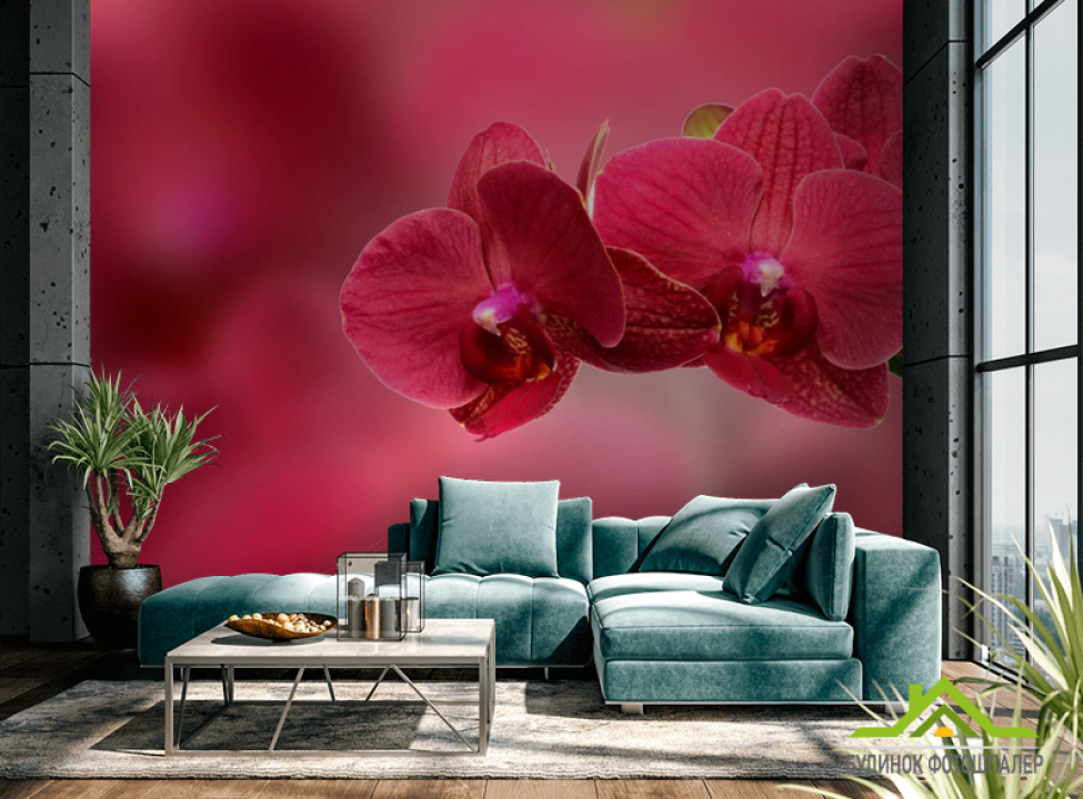 выбрать Фотошпалери Червоні орхідеї Каталог фотошпалер на стіну