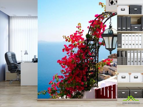 выбрать Фотообои Цветы на фонаре,  Греция Фотообои Фотообои Греция: вертикальная ориентация на стену