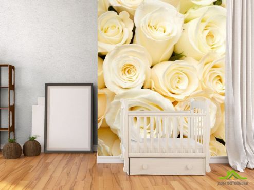 выбрать Фотообои Розы белоснежные, букет Фотообои, цвет: «» на стену