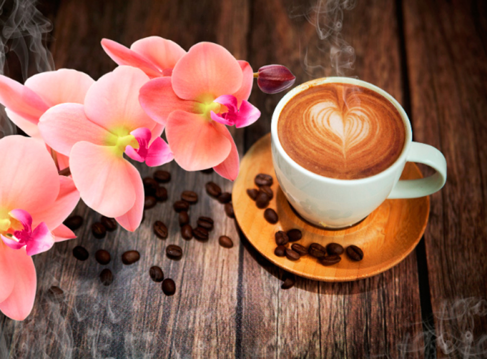 выбрать Фотообои в кухню Кофе, цветы Каталог фотообоев на стену