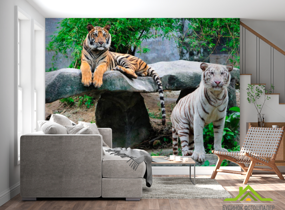 выбрать Фотообои Любознательные тигры Каталог фотообоев на стену