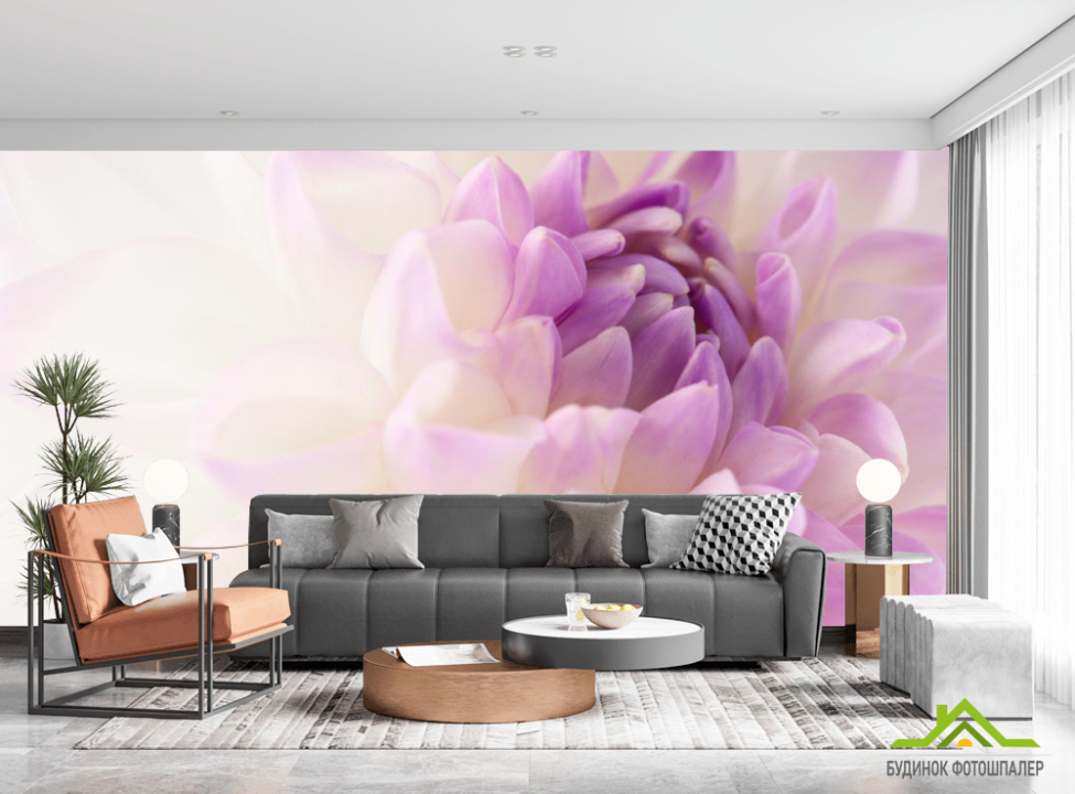 выбрать Фотообои бело-сиреневый цветок Каталог фотообоев на стену